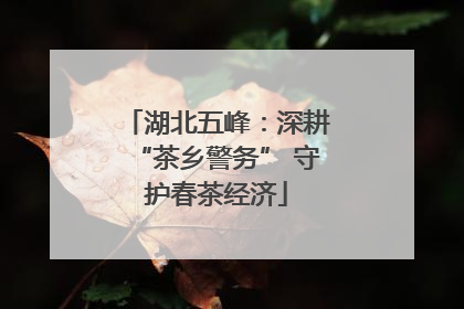 湖北五峰：深耕“茶乡警务” 守护春茶经济